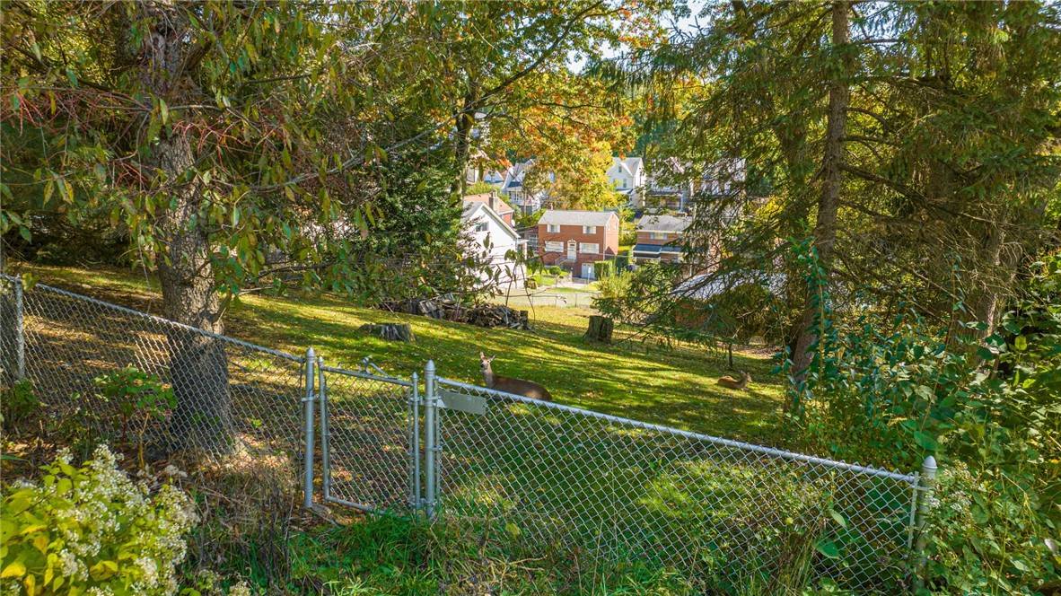 Mt Washington, PA 15211,0-B Seward St