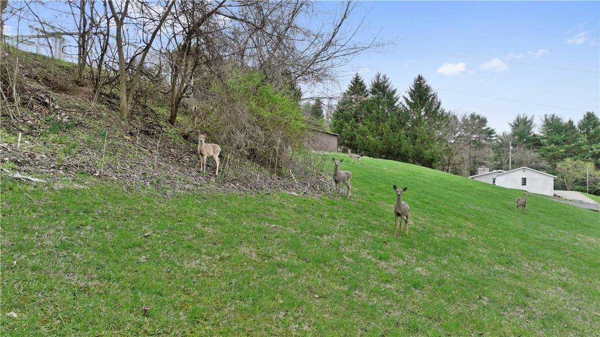 Nottingham, PA 15330,700 Sugar Run Rd