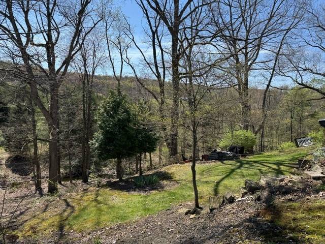 Center Twp/homer Cty, PA 15748,58 Plugtown Lane
