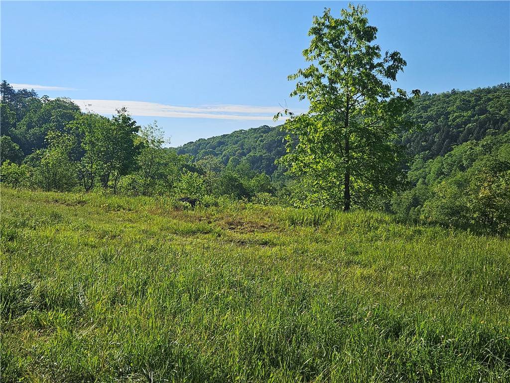 Brady's Bend Twp, PA 16025,0 Magnani Lane Lot 1