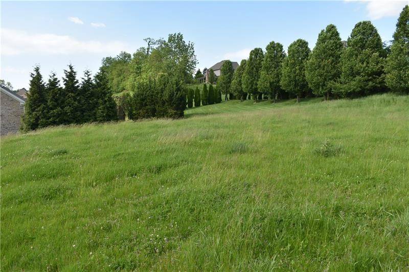 Peters Twp, PA 15317,Lot 311 Doubletree Drive