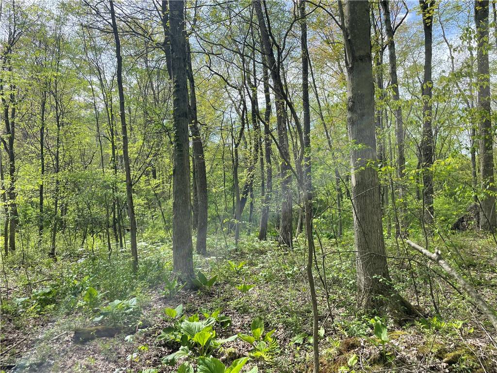 Sugar Grove Twp, PA 16125,000 Conneaut Lake Road