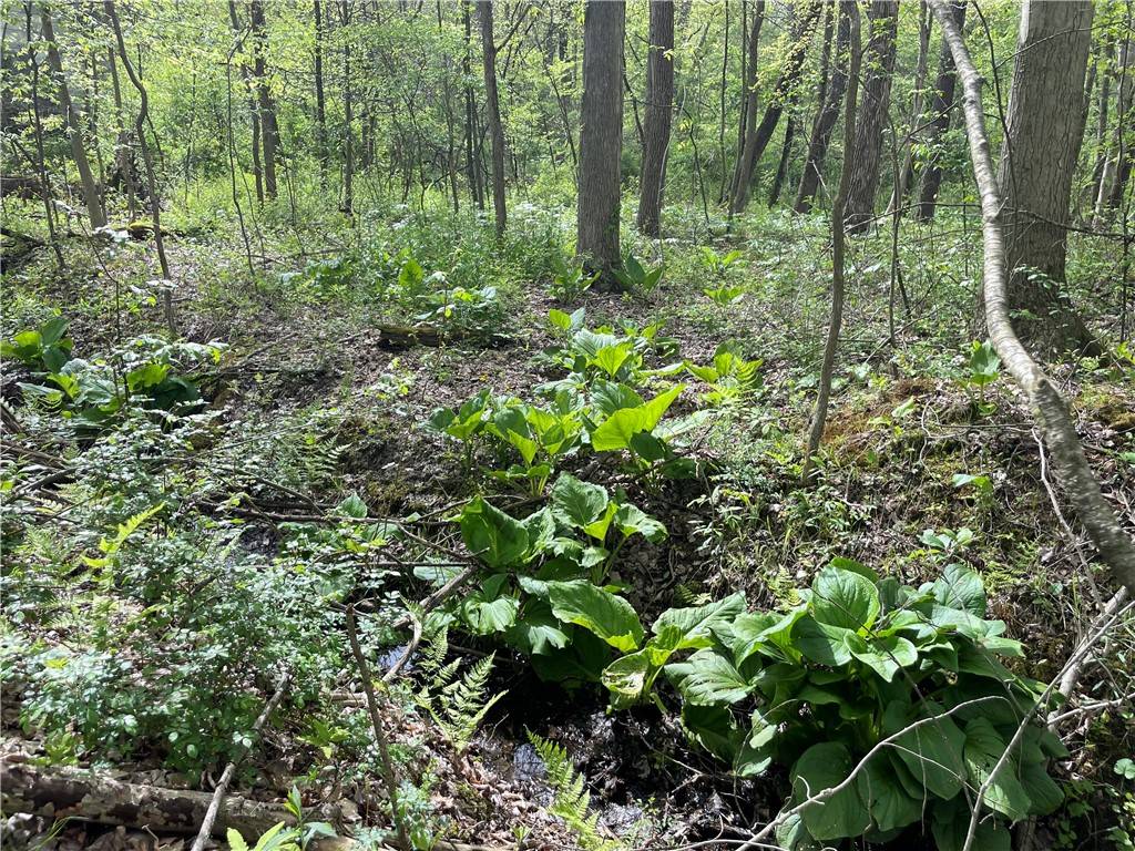 Sugar Grove Twp, PA 16125,000 Conneaut Lake Road