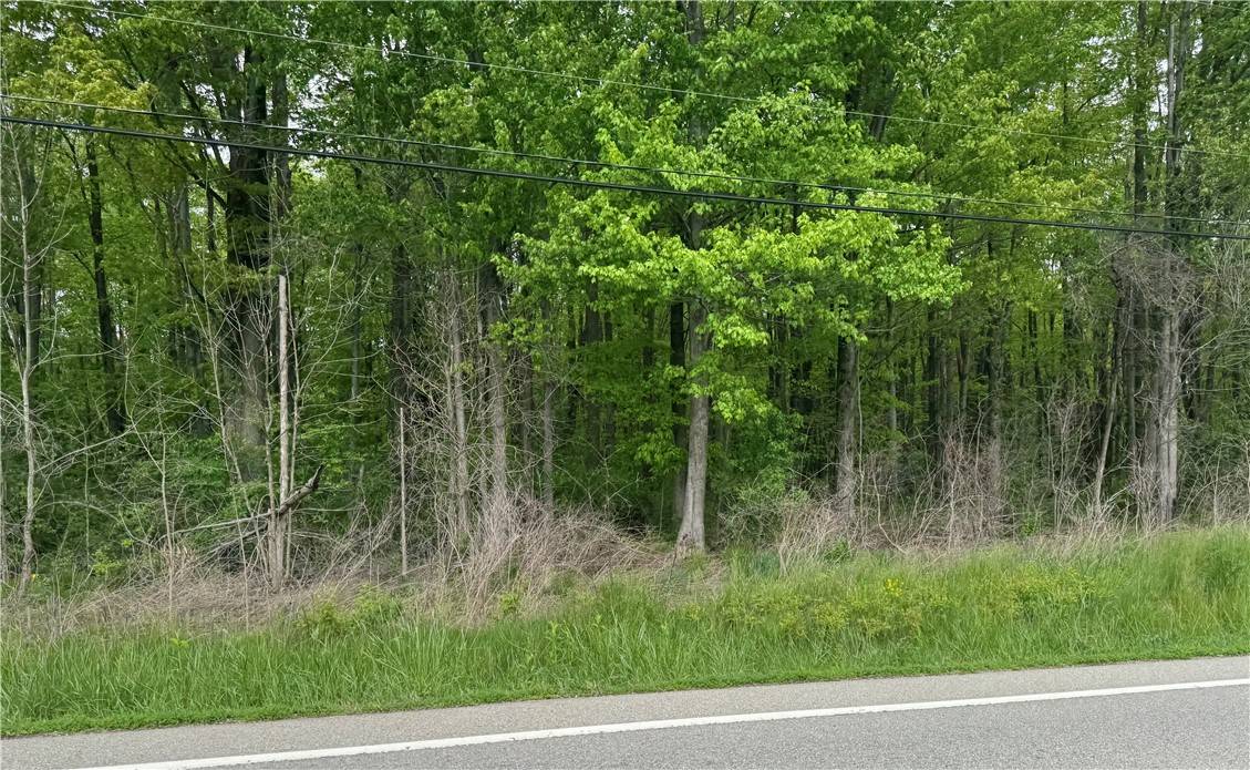 E Lackawannock Twp, PA 16137,0 Mercer West Middlesex Rd