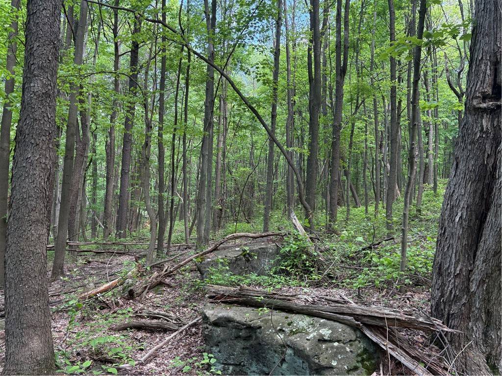 Bullskin Twp, PA 15610,Lot 1B Horseshoe Bend Rd