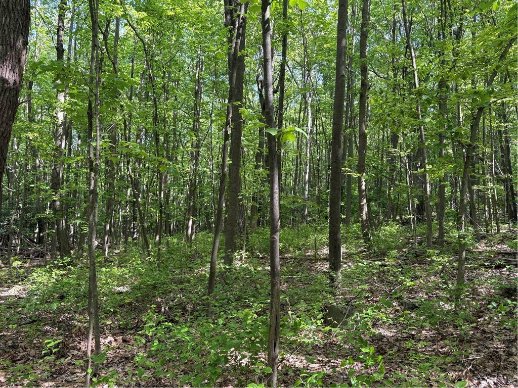 Bullskin Twp, PA 15610,Lot 1B Horseshoe Bend Rd