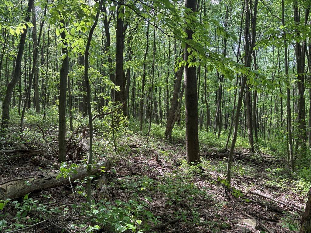Bullskin Twp, PA 15610,Lot 1B Horseshoe Bend Rd