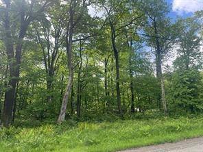 Jenner Twp, PA 15531,Lot 21 Village Run Road