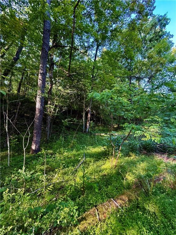 Dunbar Twp, PA 15486,0 Nellie School Rd