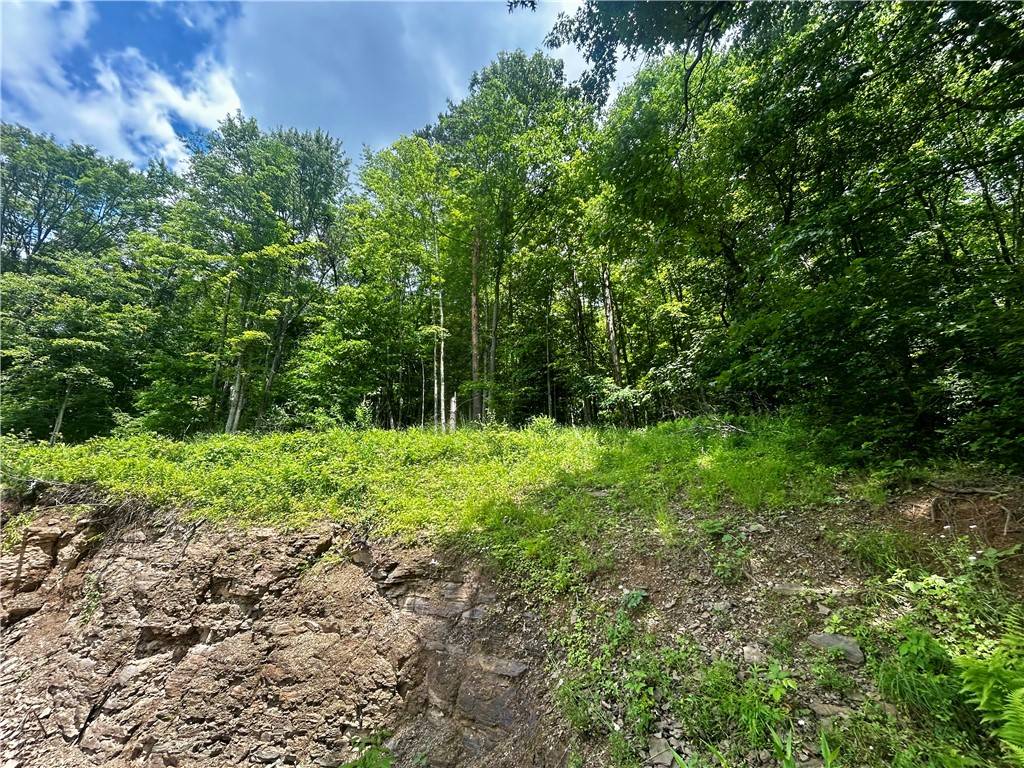 Green/commdre/prchse, PA 15729,629 Vanderbilt Street