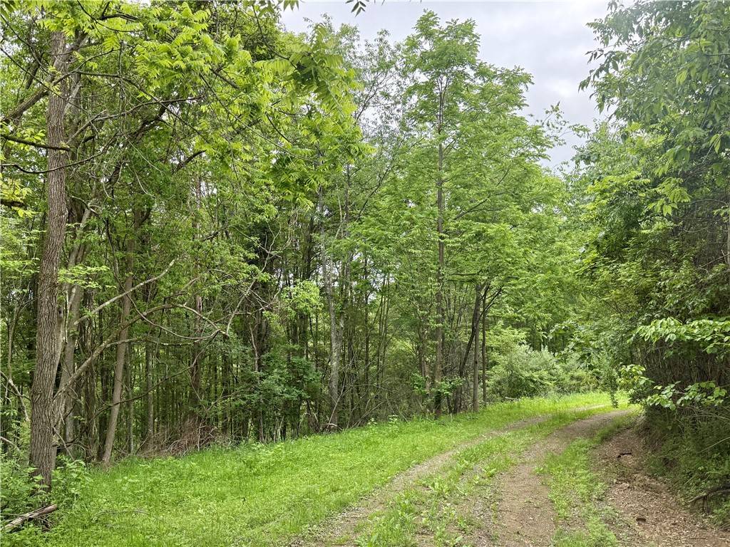 Oakland Twp, PA 16001,LOT 1 Nowhere Ln