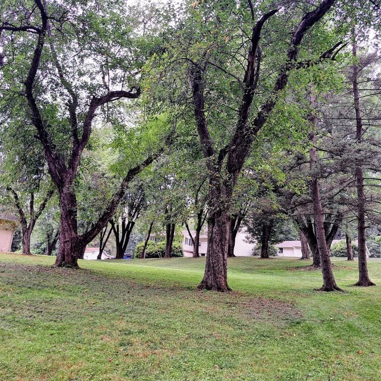 Twp Of But Nw, PA 16001,120 Rothen Ave
