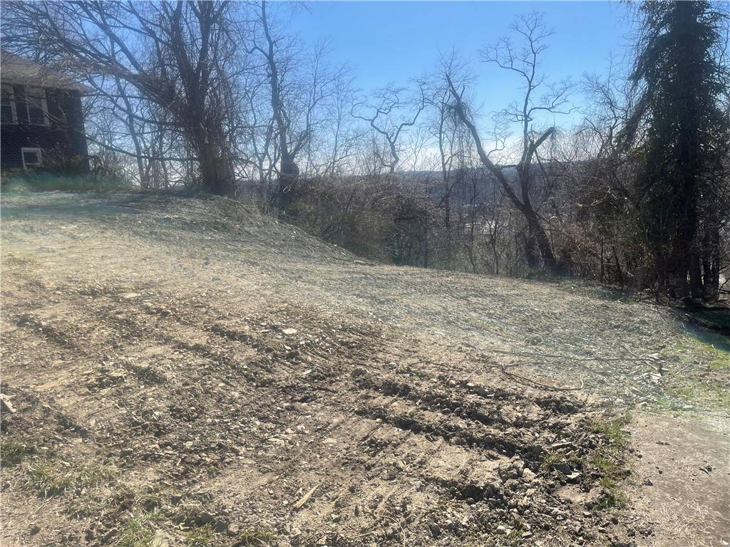 Swissvale, PA 15218,0 Buena Vista St