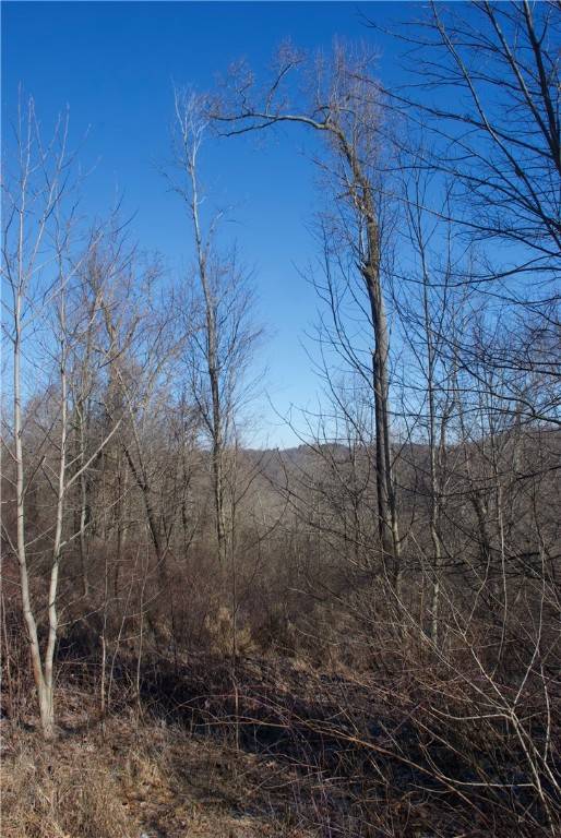 Sewickley Heights, PA 15143,0 Audubon Road