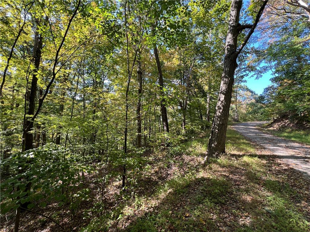 Raccoon Twp, PA 15050,0 Kennedy Rd