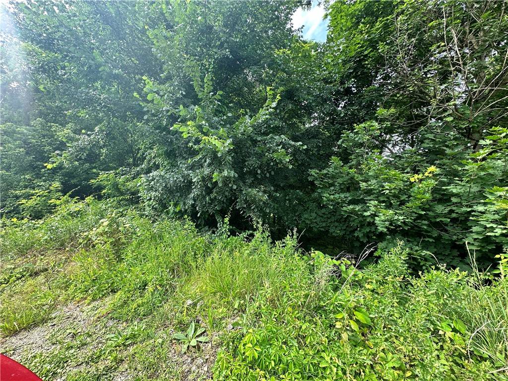 Brownsville, PA 15450,0 Monongahela St