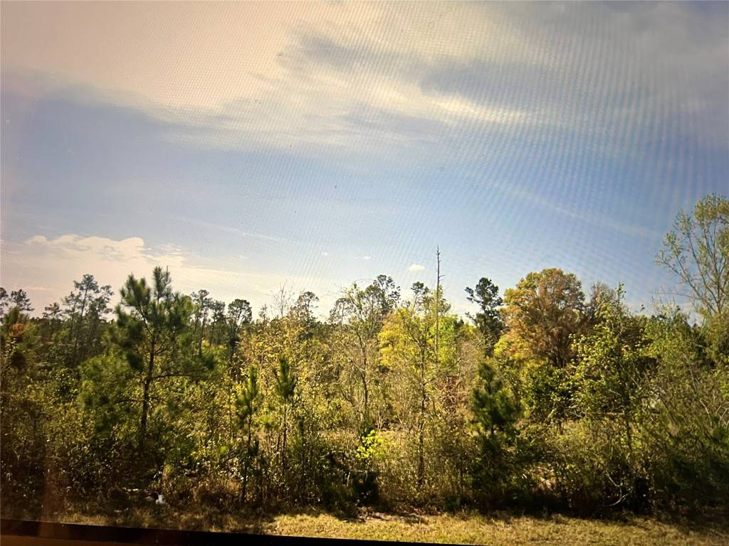 Yulee, FL 32097,00 SR 200 HWY
