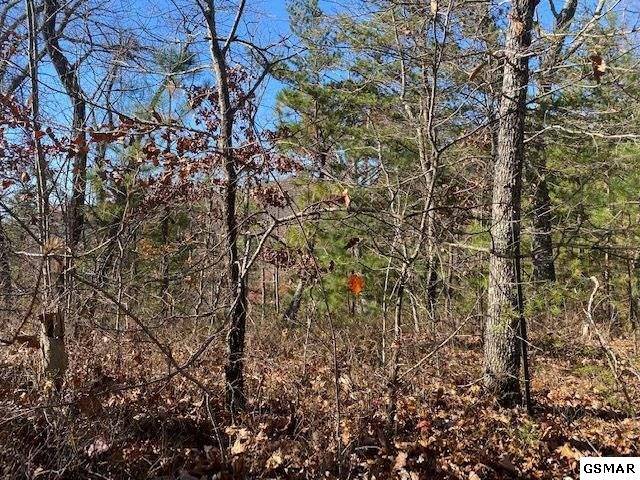 Sevierville, TN 37876,Lot 71 Poplar PL