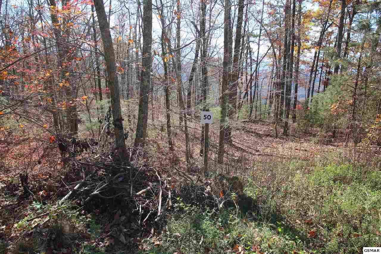 Sevierville, TN 37876,Lot 50 Mountain Ash WAY