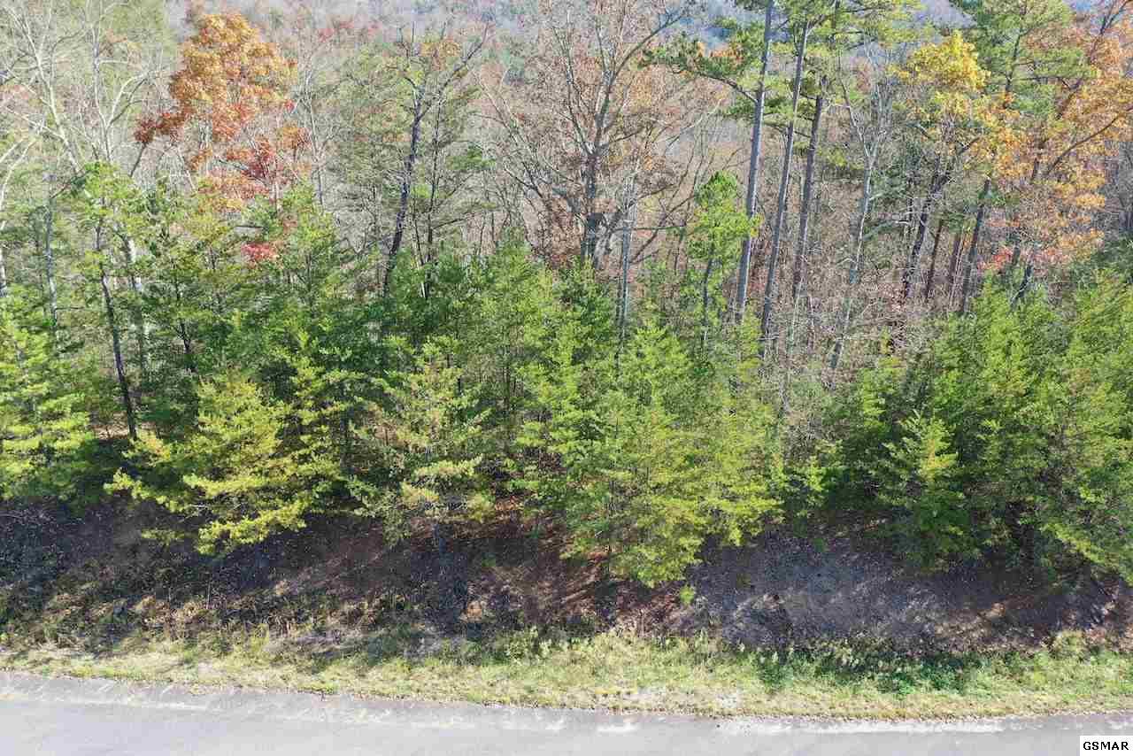 Sevierville, TN 37876,Lot 33 Mountain Ash WAY