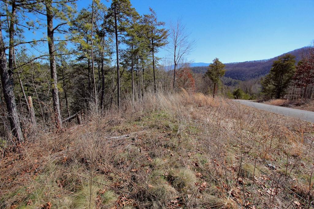 Sevierville, TN 37876,Lot 24 Mountain Ash WAY