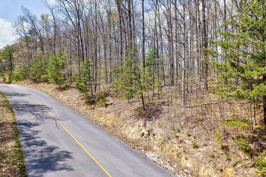 Sevierville, TN 37862,Lot 125E Settlers View LN