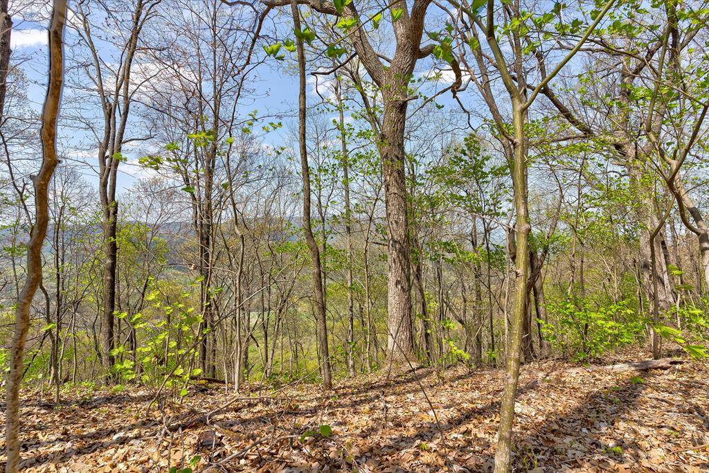 Sevierville, TN 37862,Lot 125E Settlers View LN