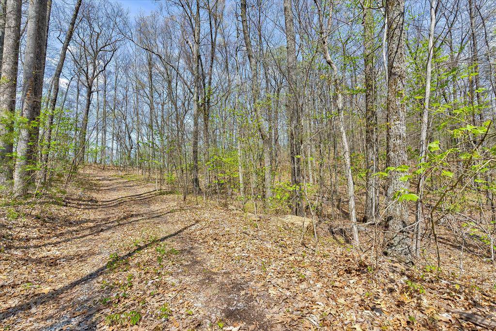 Sevierville, TN 37862,Lot 125E Settlers View LN