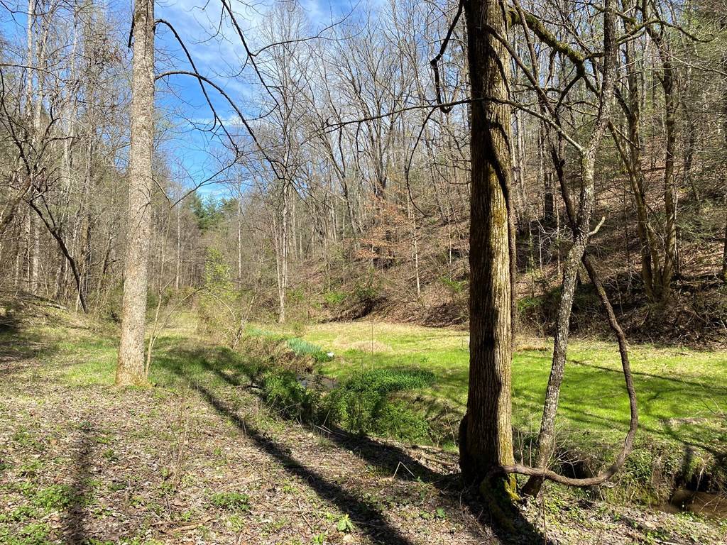 Sevierville, TN 37862,0 Valley Springs WAY