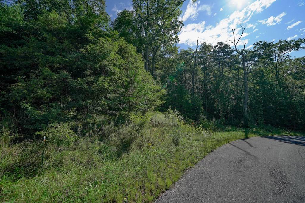 Sevierville, TN 37876,Lot 56 Mountain Ash WAY