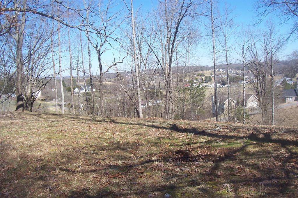 Kodak, TN 37764,Lot 5 Sandpiper CT