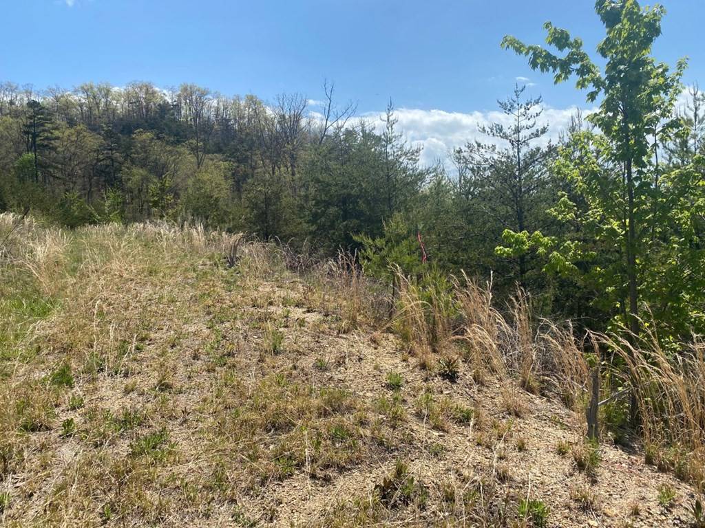 Sevierville, TN 37876,Lot 59 Mountain Ash WAY