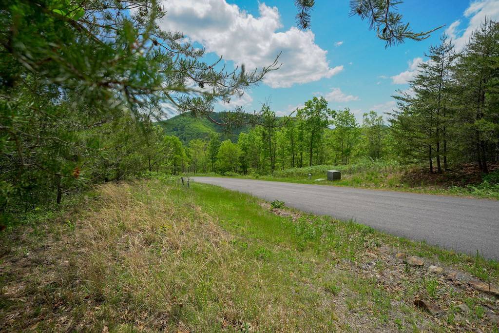 Sevierville, TN 37876,Lot 23 Mountain Ash WAY