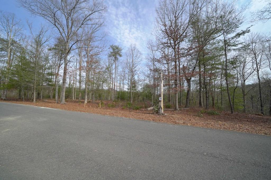 Sevierville, TN 37876,Lot 29 Lot 29 Mountain Ash WAY