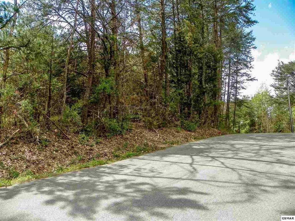 Sevierville, TN 37876,Lot 9 Rail Hill LN