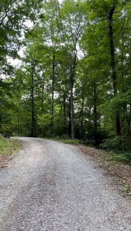 Sevierville, TN 37876,Lot # 10 Joshua WAY