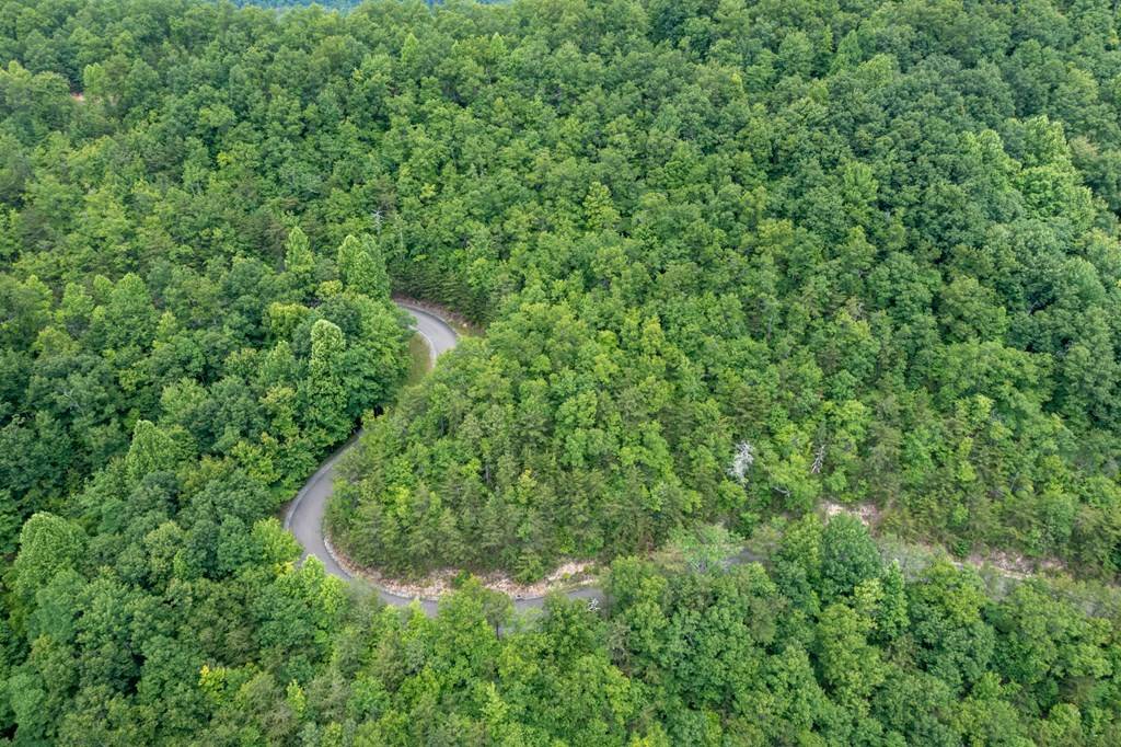 Gatlinburg, TN 37738,506 Enclave Park WAY