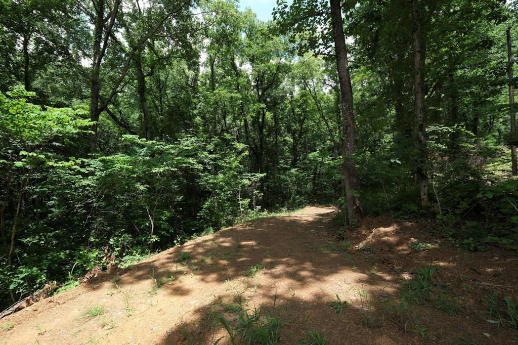 Sevierville, TN 37876,Blowing Cave RD