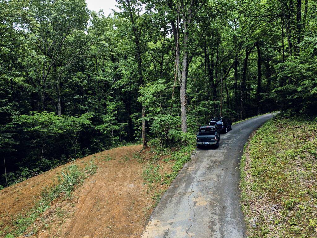 Sevierville, TN 37876,Blowing Cave RD