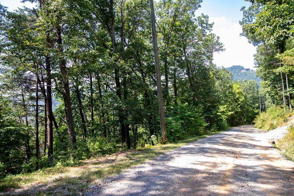 Sevierville, TN 37862,Pebbles Mountain WAY