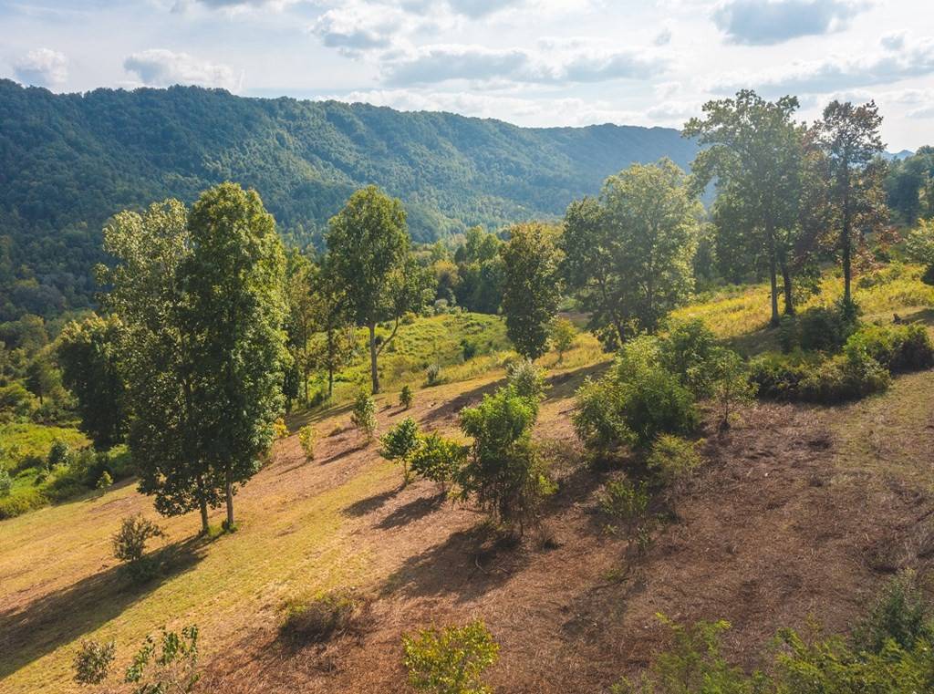 Eidson, TN 37731,War Creek RD