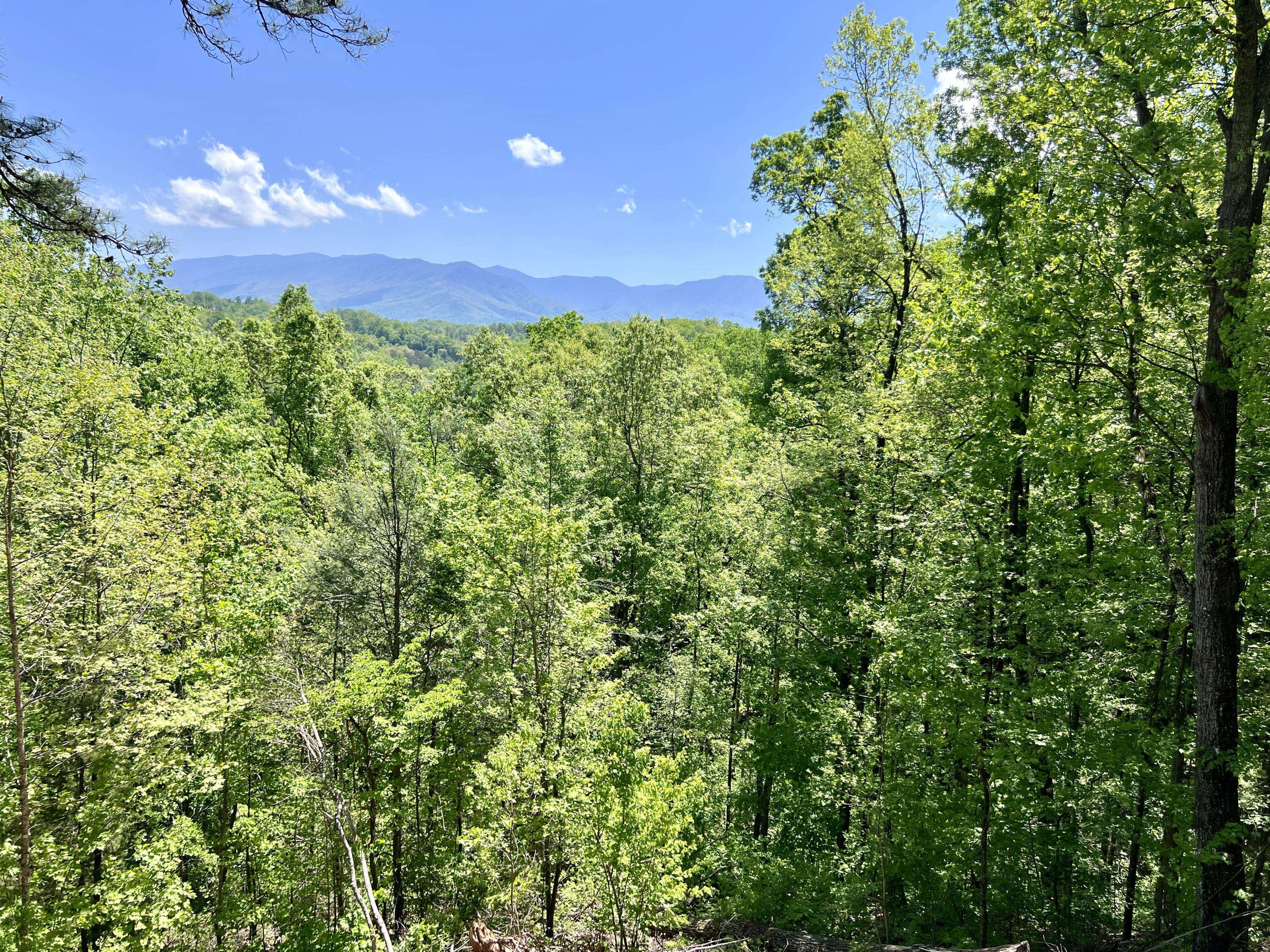 Gatlinburg, TN 37738,16.42 Acre Powdermill RD