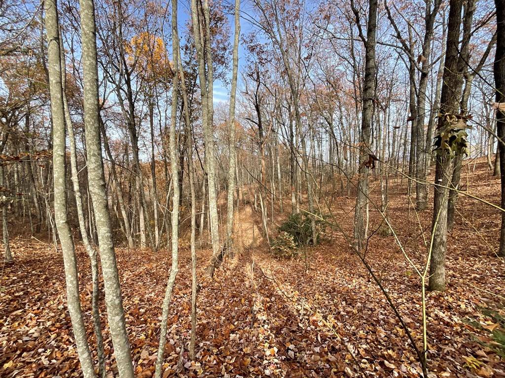 Sevierville, TN 37876,0 Boogertown RD