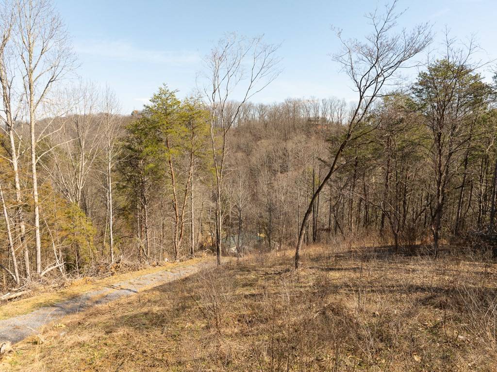 Sevierville, TN 37876,Lot 3 Cody View WAY