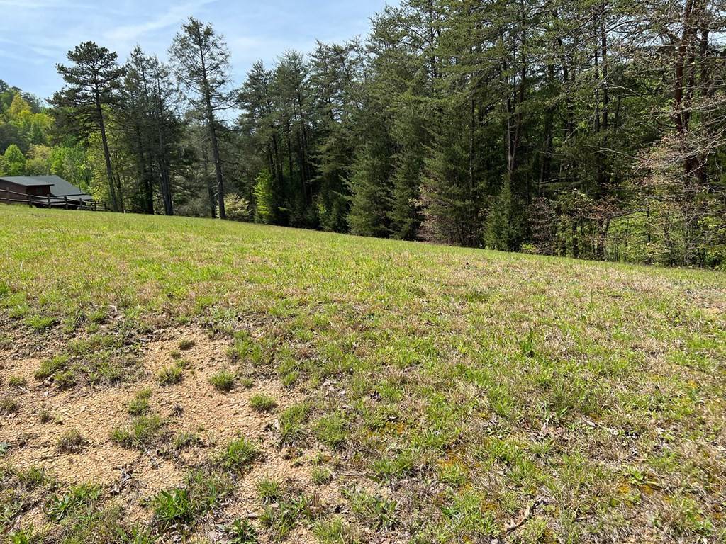 Sevierville, TN 37876,Lot 7 Jobey Green Hollow RD