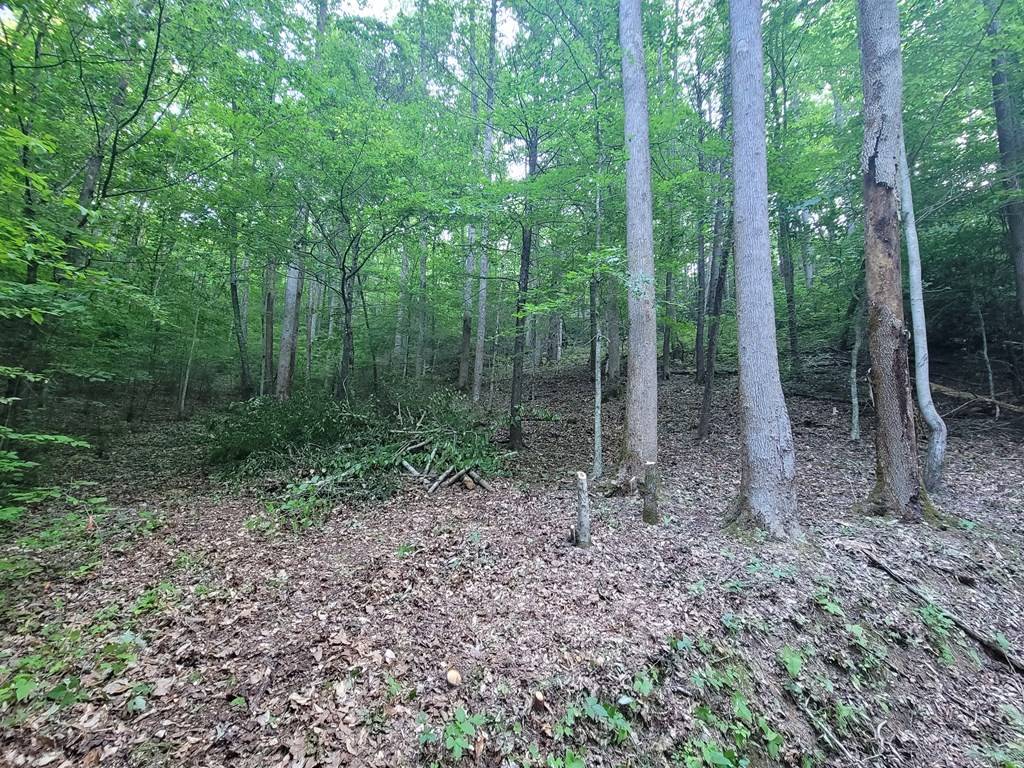 Cosby, TN 37722,Lot 13 Cara WAY