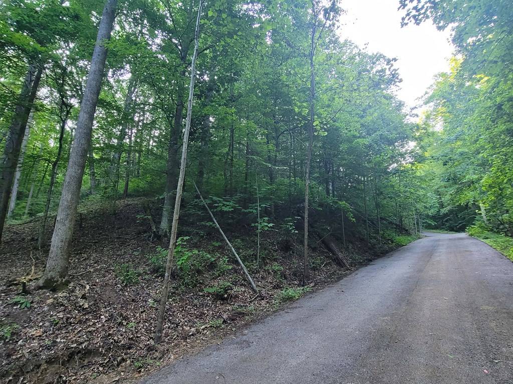 Cosby, TN 37722,Lot 13 Cara WAY