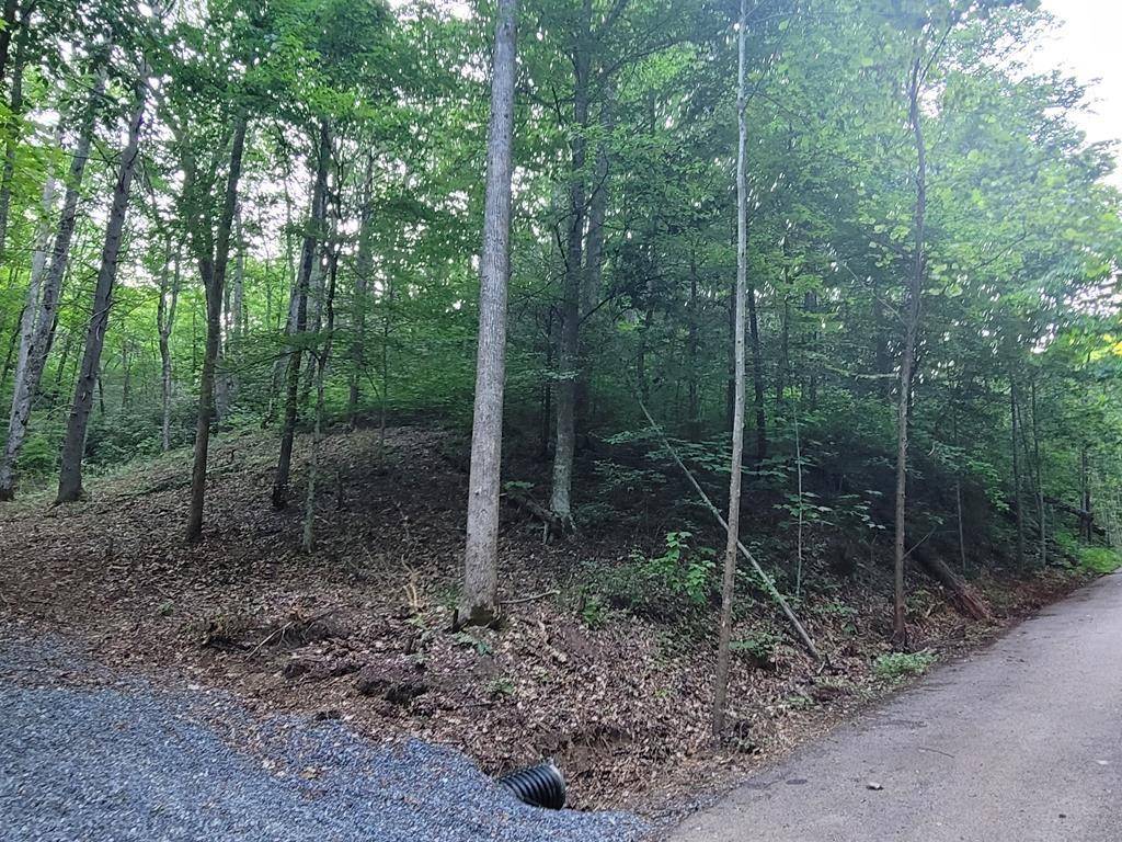 Cosby, TN 37722,Lot 15 Cara WAY