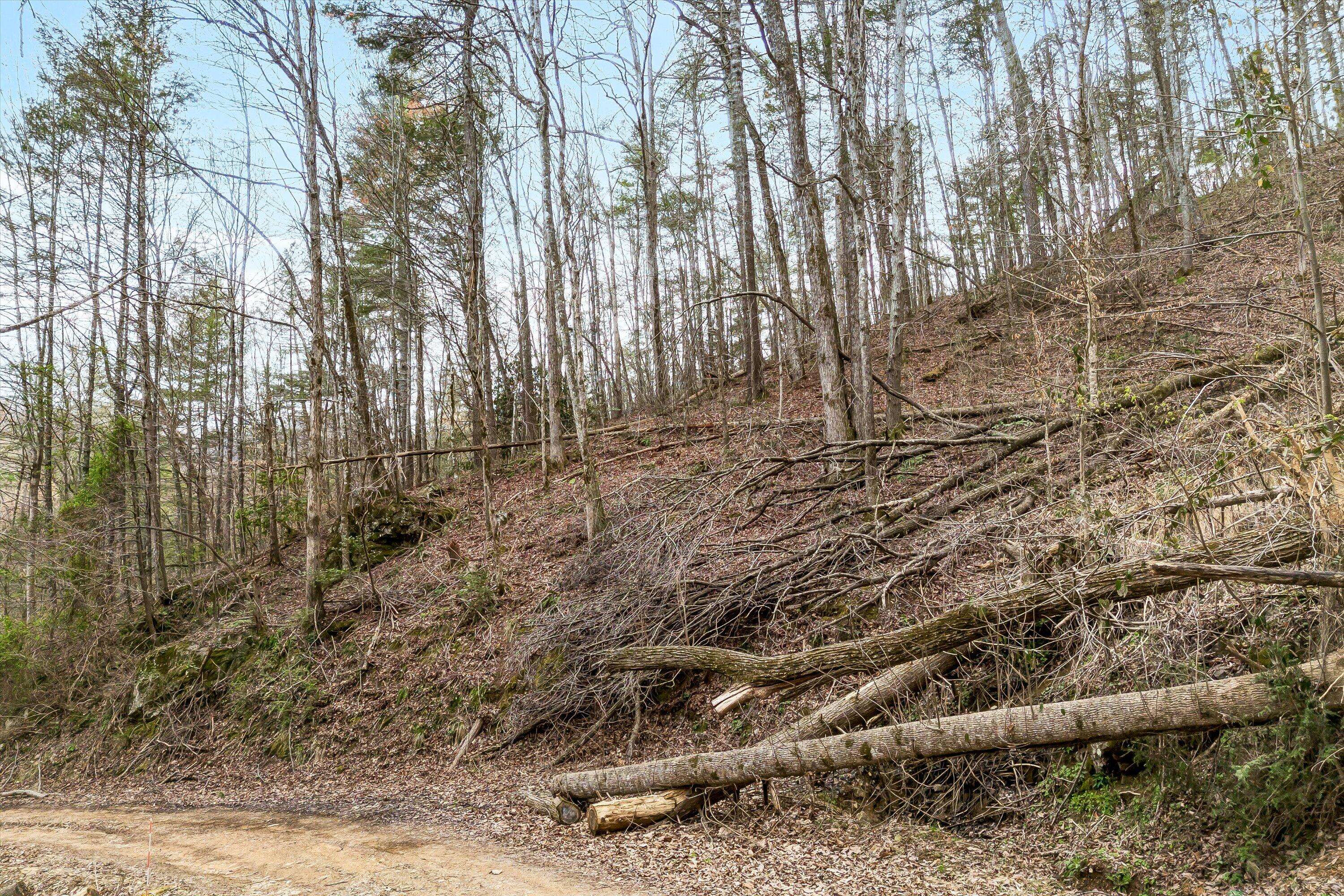 Sevierville, TN 37862,Lot 20 Meadow View RD