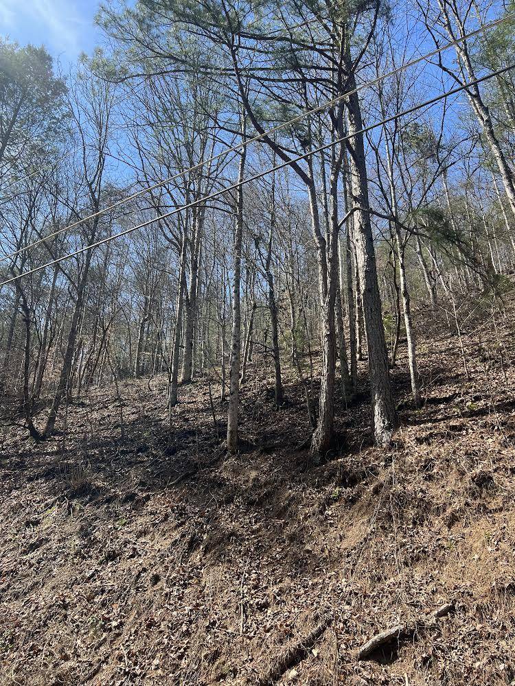 Sevierville, TN 37862,Lot 56/57 Hidden Hollow Way